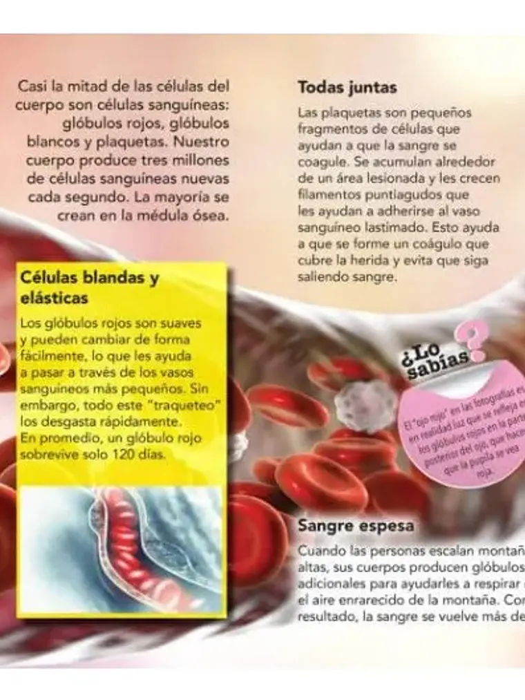Enciclopedia Infantil Del Cuerpo Humano Plutón Kids 3