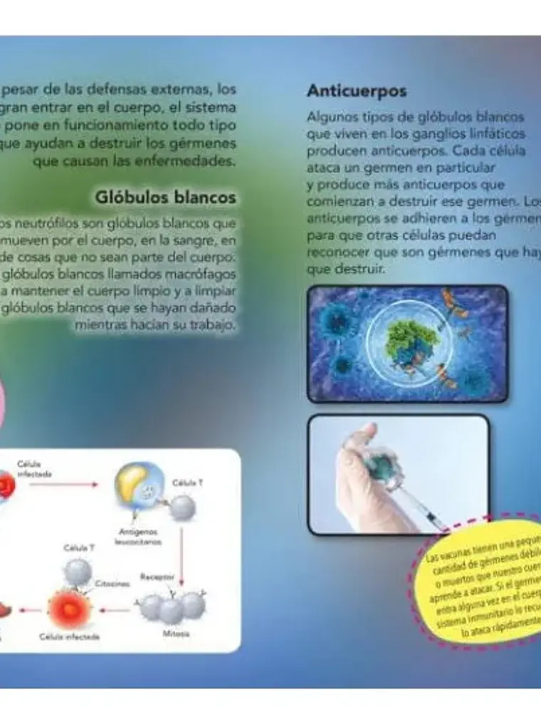 Enciclopedia Infantil Del Cuerpo Humano Plutón Kids 4