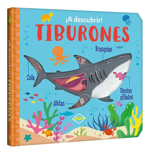 A Descubrir Tiburones Libro Infantil Didáctico Lexus 