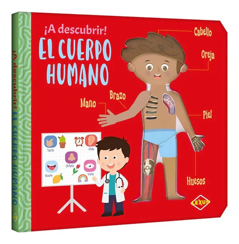 A Descubrir El Cuerpo Humano Libro Infantil Educativo Lexus