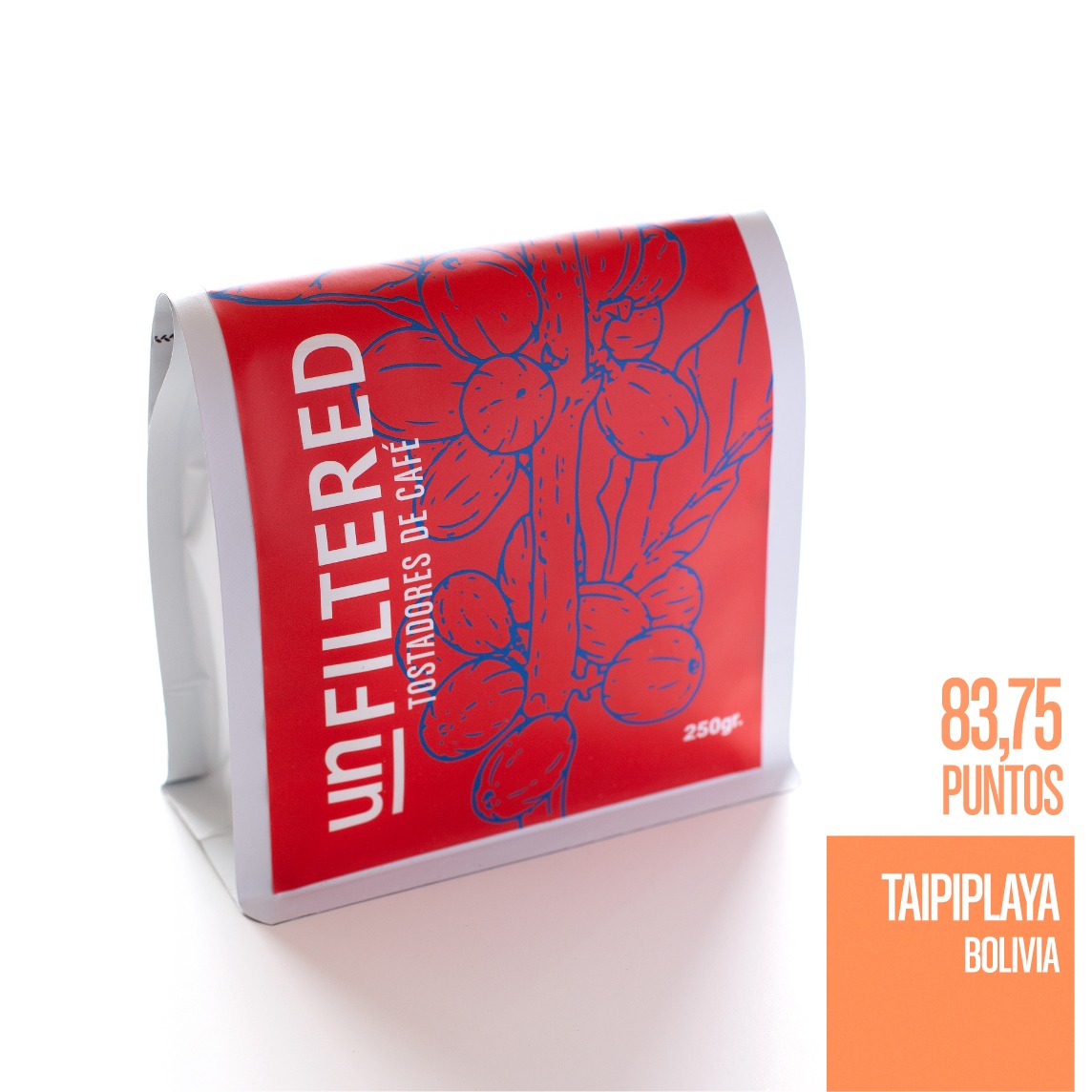 Taipiplaya Bolivia 1