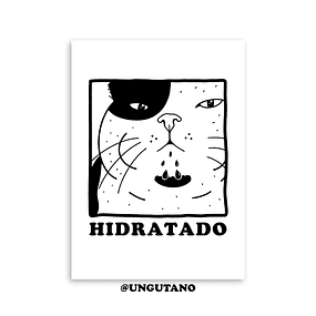 Print Hidratado