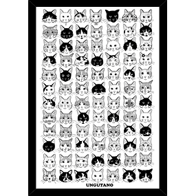 Cat collection - Enmarcado