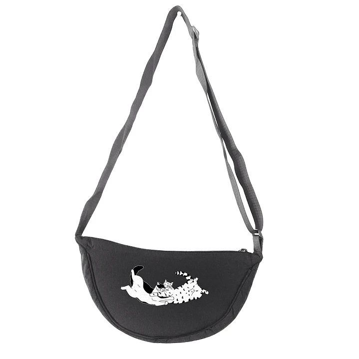 PREVENTA Bolsito Gatuno 1
