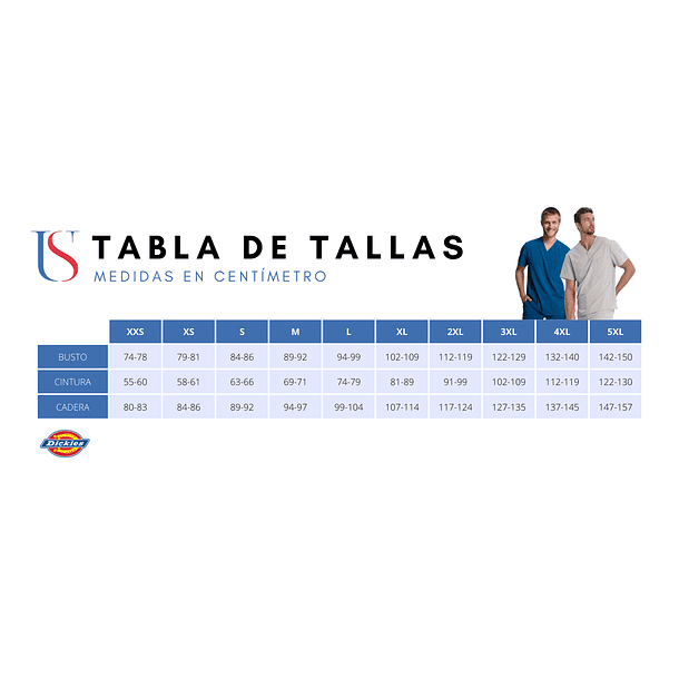 Polera Dickies Balance DK865 Burdeo 7