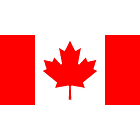 Aceite Motor 10w30 100% Sintetico Bencinero Irving 1galon  4