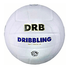 Balon De Voley Classic  Drb 5