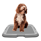 Dogit Soporte Carpeta Orientadora Entrenamiento Para Perros 1