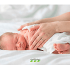 Pañal Ecológico Premium Prematuro Nateen 50 Unidades 7