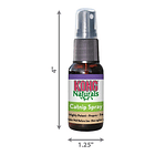 Kong Catnip Spray 30 Ml Para Tu Gato 2