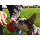 Juguete Kong Classic Para Tu Mascota Talla Xl Made In Eeuu 4