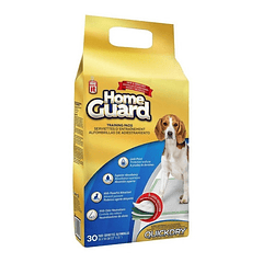 Alfombrilla Educadora  Mediana 100 Unidades Dogit 