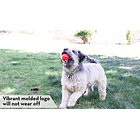 Kong Signature Balls 2 Unidades Para Tu Mascota Talla M 2