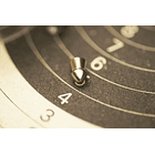 Rifle Magtech Poston 5,5 Jade Pro N2 305mts/s Nitropiston 8