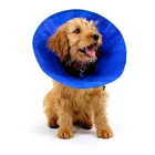 Collar Kong Ez Soft Para Tu Mascota Rehabilitación Xs 3