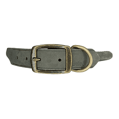 Collar Coastal Perro Circle T Redondo De Cuero 60/55cm