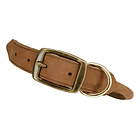Collar Coastal Perro Circle T Redondo De Cuero 60/55cm 3