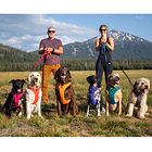 Arnes Ruffwear Front Range Para Perros Gran Calidad Azul 4