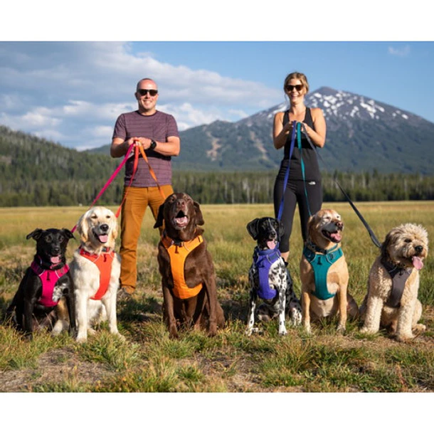 Arnes Ruffwear Front Range Para Perros Gran Calidad Azul 4