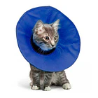 Collar Kong Ez Soft Para Tu Mascota Rehabilitación S 5