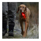 Ruffwear The Beacon,luz De Seguridad Para Tu Mascota 3