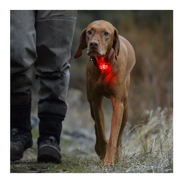 Ruffwear The Beacon,luz De Seguridad Para Tu Mascota 3