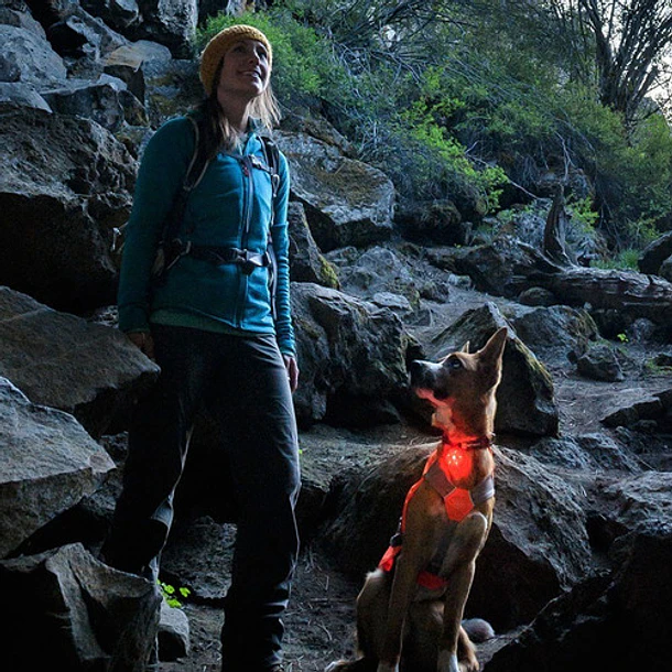 Ruffwear The Beacon,luz De Seguridad Para Tu Mascota 4