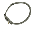 Collar Coastal Perro Circle T Redondo De Cuero 50/45cm 1