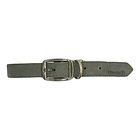 Collar Coastal Perro Circle T De Cuero 40/35cm 1