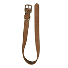 Collar Coastal Perro Circle T De Cuero 40/35cm 6
