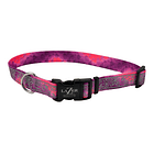 Collar Coastal Lazer Brite Para Perros Reflectante Talla S/m 1