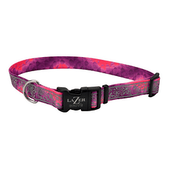 Collar Coastal Lazer Brite Para Perros Reflectante Talla S/m