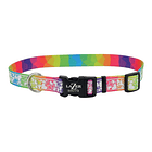 Collar Coastal Lazer Brite Para Perros Reflectante Talla S/m 3