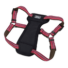 Arnés Para Perros Coastal K9 Explorer Reflectante 6