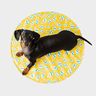 Alfombra Ice Mat Para Enfriar Mascotas Gfpet Redonda S/m 4