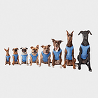 Capa Refrescante Gfpet Perros Para Verano M 3