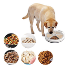 Dispensador Automático De Alimentos Mascotas Pawise 1200ml 3