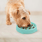 Outward Hound Fun Feeder Slo Bowl Comedero Lento Perros S 2