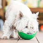 Lickimat Wobble Comedero  Para Lamer Perros   3