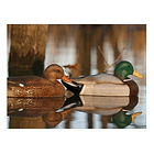 Señuelos Para Patos Flambeau ( 2 Unidaddes ) 1