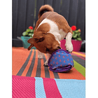 Kong Ballistic Hide¨n Treat Para Tu Mascota 4