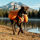 Ruffwear - Approach Dog Pack Para Tu Mascota  2