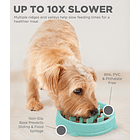 Outward Hound Fun Feeder Slo Bowl Comedero Lento Perros S 4