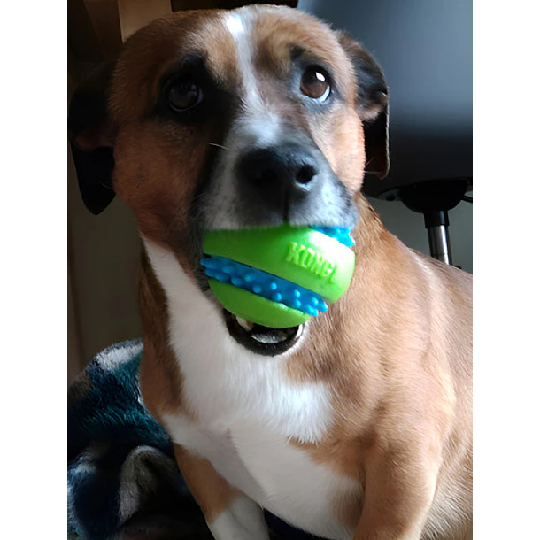 Juguete Para Perros Kong Squeezz Goomz Ball, Tamaño Grande, Color Verde 5