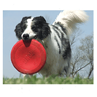 Juguete Kong Flyer Frisbee Perro - Talla S 9