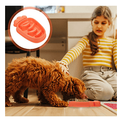 Comedero Lento Para Tu Mascota Yg-10