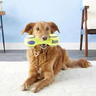 Kong Air Dog Dumbbell Hueso Para Tu Mascota Talla L Eeuu Color Amarillo 3