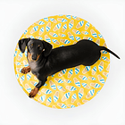 Alfombra Ice Mat Para Enfriar Mascotas Gfpet Redonda L/xl Color Amarillo 1