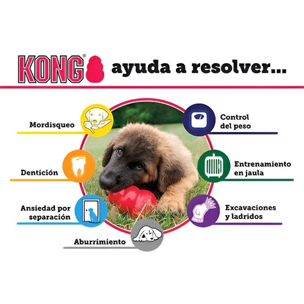 Kong Squezz Action Ball Largejuguete Pelota Perro Pack X2 Color Celeste 5
