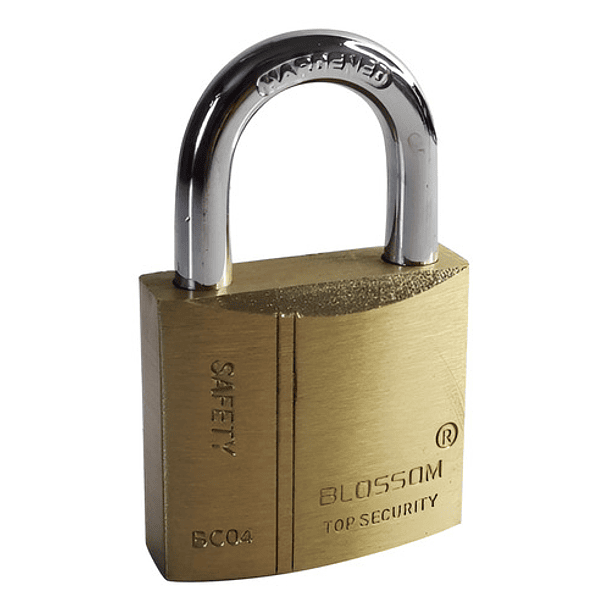 Candado Bronce Endurecido 30 Mm Blossom Color Dorado 